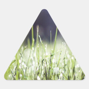 Green Grass Triangle Sticker