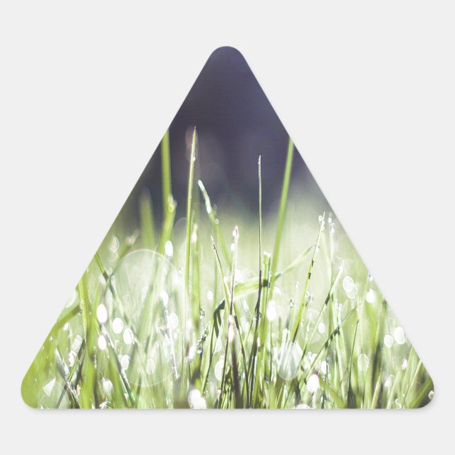 Green Grass Triangle Sticker (Front)