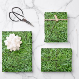 Green Grass Wrapping Paper Sheet