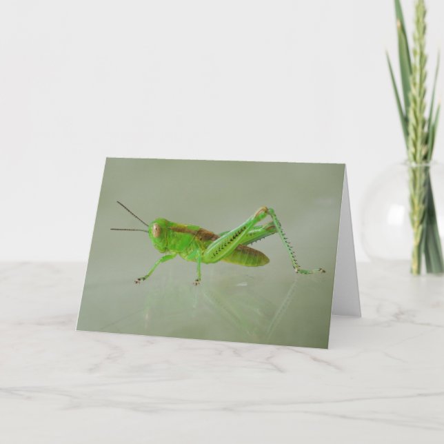Green Grasshopper card (Front)