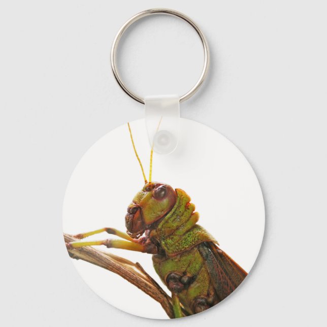 Green Grasshopper close up details Key Ring (Front)