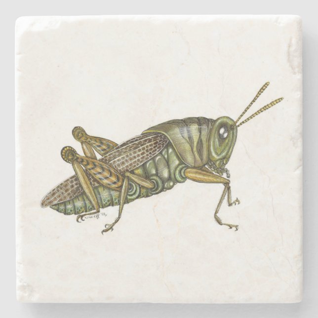Green grasshopper cloth placemat stone coaster (Front)