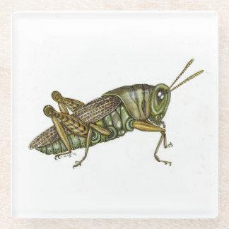 Green Grasshopper Coaster