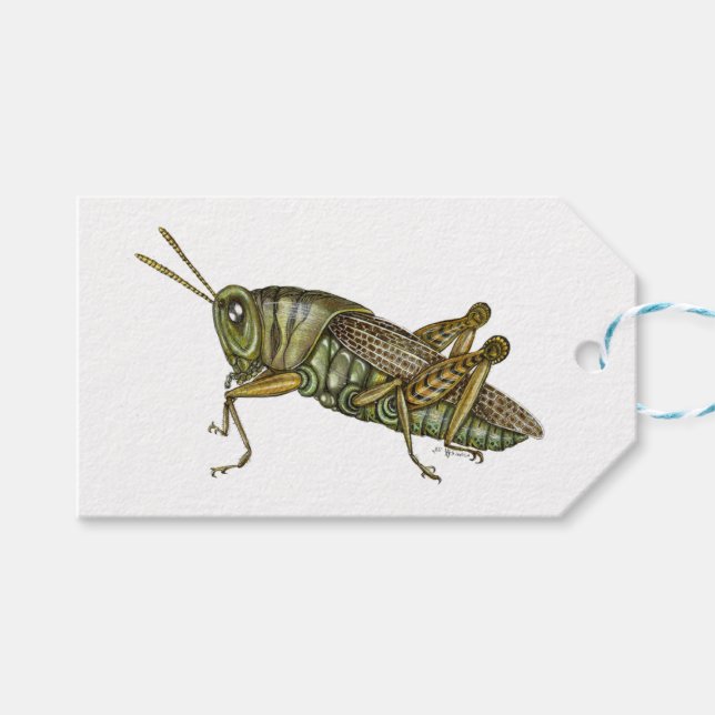 Green Grasshopper Gift Tags (Front (Horizontal))