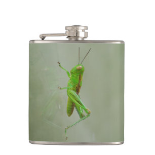 Green Grasshopper Hip Flask