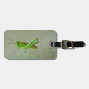 Green Grasshopper Luggage Tag