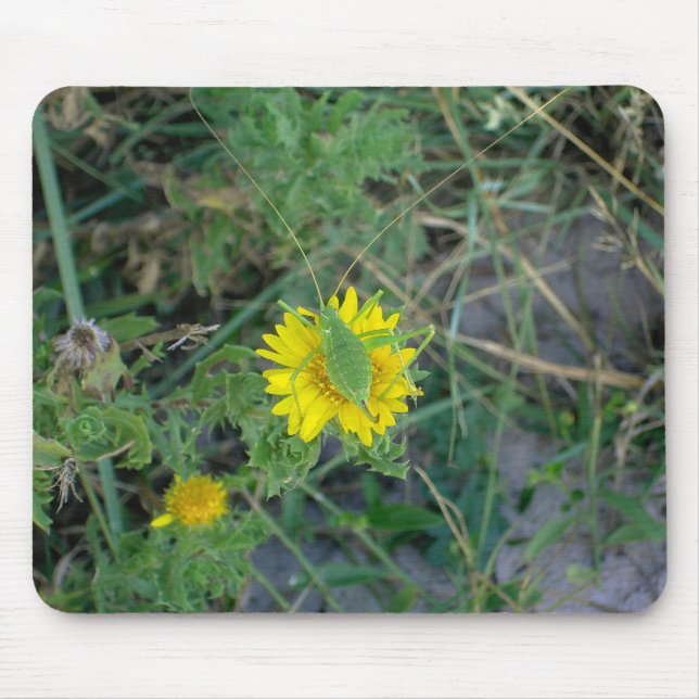 Green grasshopper on a yellow flower. mouse mat (Front)