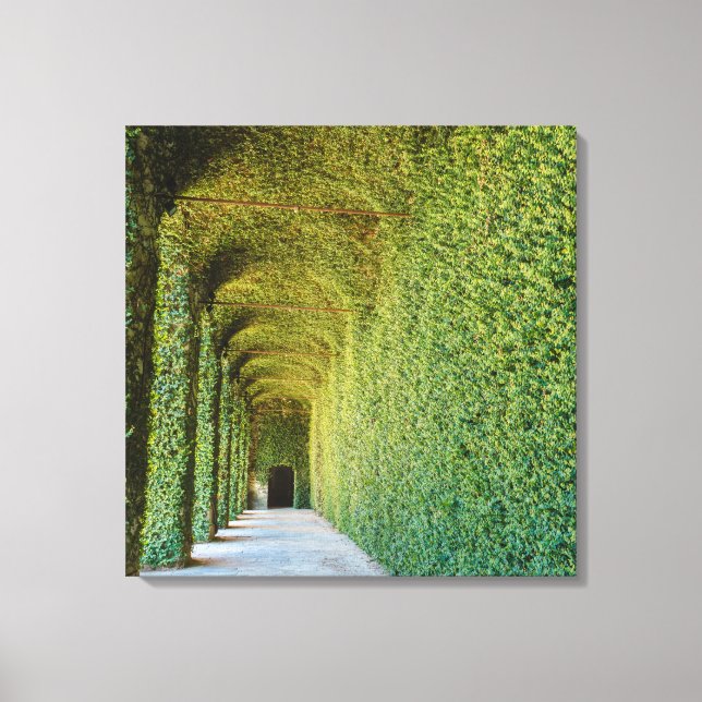 Green Greenhouse on stretched canvas print (Front)
