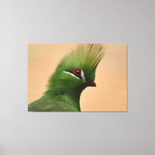 Green Guinea Turaco bird Canvas Print