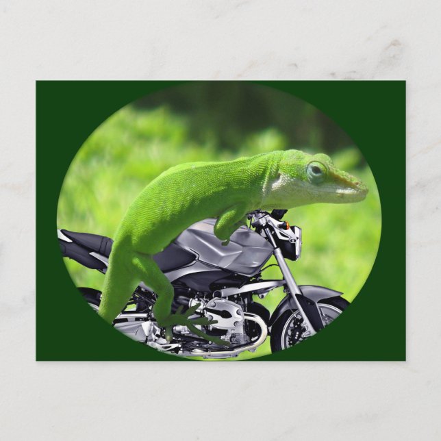 Green Hawaiian Gecko Rider Postcard (Front)