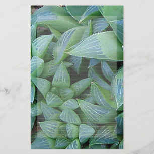 Green Haworthia Plants Lined Stationery
