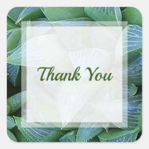 Green Haworthia Succulent Plant Thank You Sticker