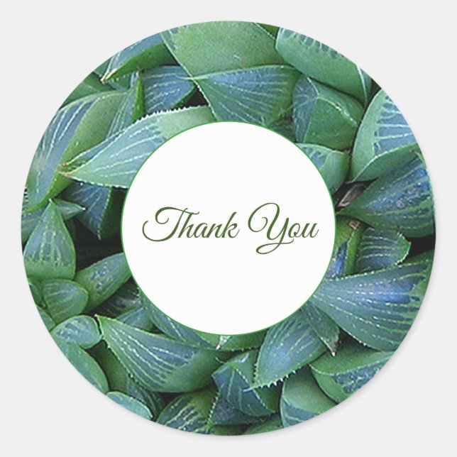 Green Haworthia Succulent Plant Thank You Sticker (Front)