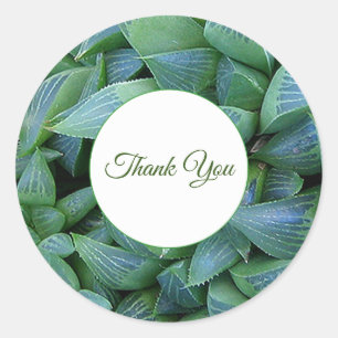 Green Haworthia Succulent Plant Thank You Sticker