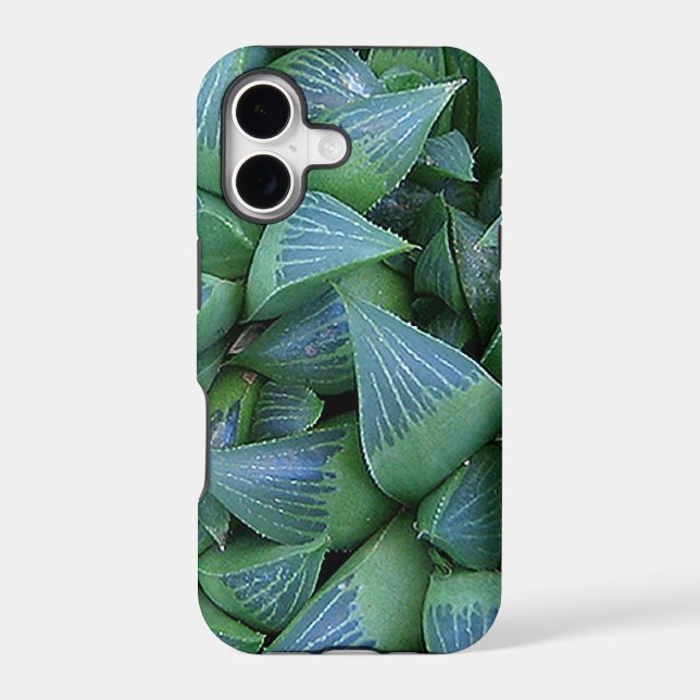 Green Haworthia Succulent Plants iPhone Case (Back)