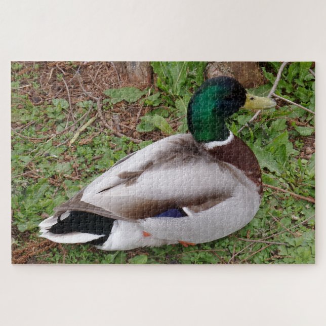 Green Head Duck Jigsaw Puzzle (Horizontal)