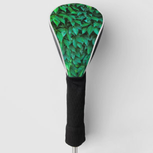 green hedge background parthenocissus pattern text golf head cover