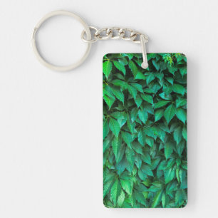 green hedge background parthenocissus pattern text key ring