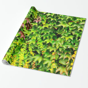 Green hedge plant wrapping paper