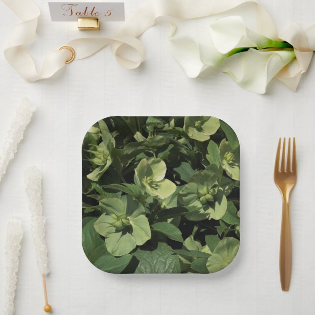 Green Hellebore Paper Plate (Wedding)
