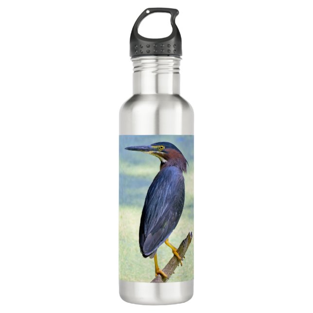 Green Heron 710 Ml Water Bottle (Front)