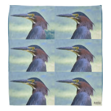 Green Heron