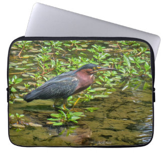 Green Heron (Butorides virescens) Laptop Sleeve