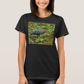 Green Heron (Butorides virescens) T-Shirt