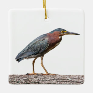 Green Heron Ceramic Tree Decoration