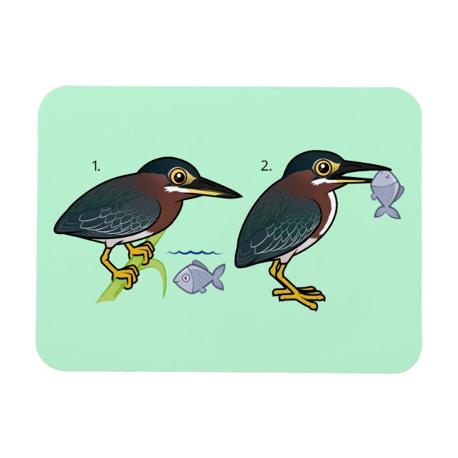 Green Heron Hunting Technique Magnet (Horizontal)