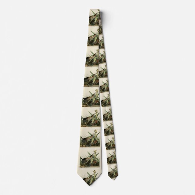 Green Heron, John James Audubon's Birds of America Tie (Front)