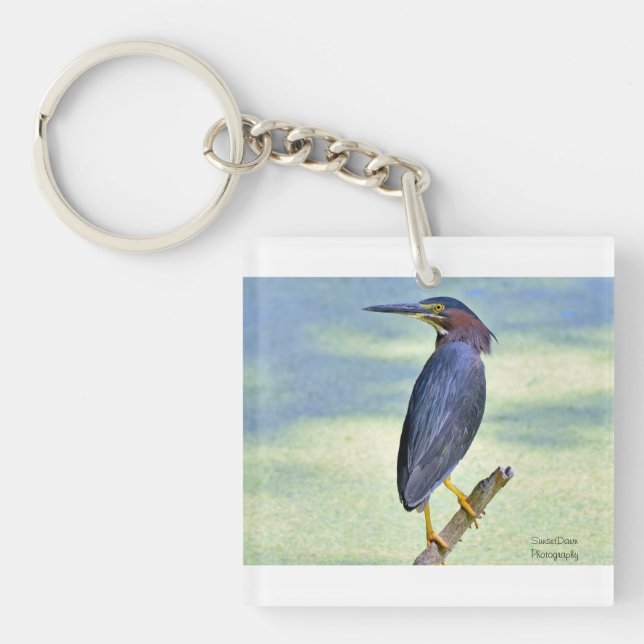 Green Heron Key Ring (Front)