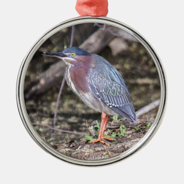 Green Heron Metal Tree Decoration (Front)