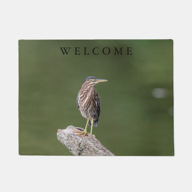 Green Heron on a log Doormat (Front)