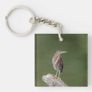 Green Heron on a log Key Ring