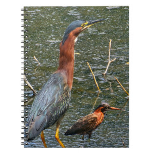 Green Heron Reusable Grocery Bag Notebook