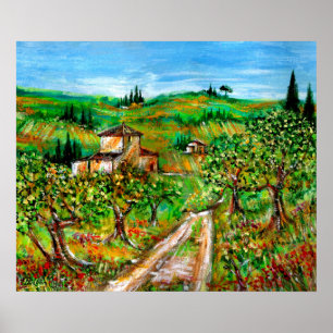 Green Hills And Olive trees Tuscany Landscape Poster