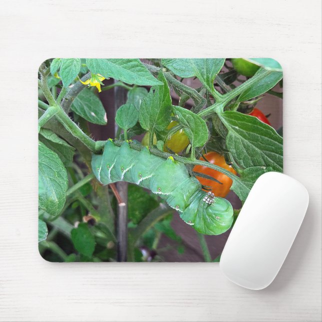 Green Hornworm On a Tomato Plant Mouse Mat (With Mouse)