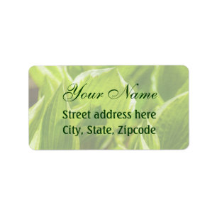 Green Hosta Leaves Label