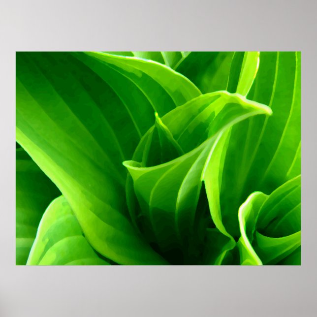 Green Hosta Poster (Front)