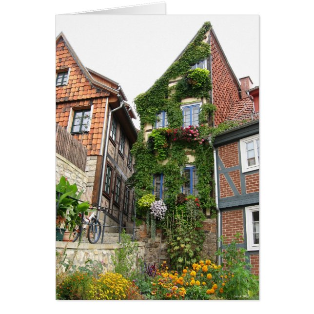 green house effect (Front)