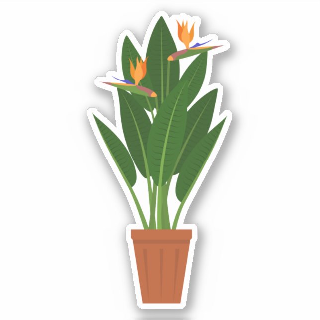 Green houseplant in pot transparent sticker (Front)