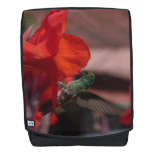 Green Hummingbird on Orange Flower Adult Backpack