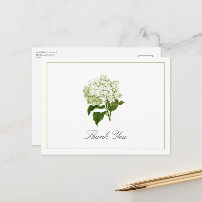 Green Hydrangea Bloom Traditional Thank You Postcard (Front/Back In Situ)