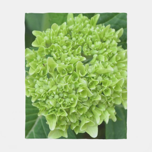 Green Hydrangea Fleece Blanket (Front)