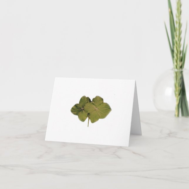 Green Hydrangea note card (Front)