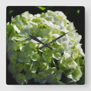 Green Hydrangeas Flowers Square Wall Clock