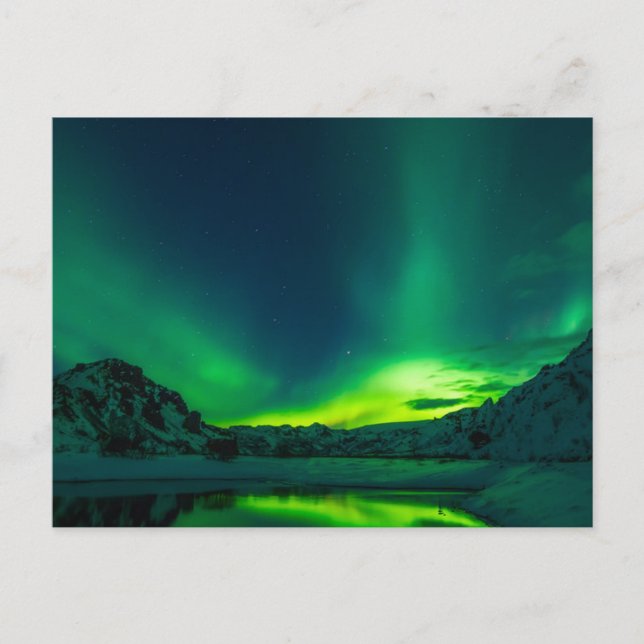 Green Iceland northern lights Postcard (Front)