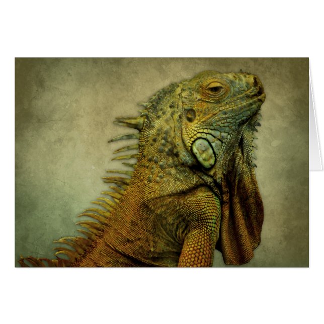 Green Iguana (Front Horizontal)