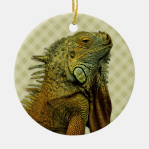 Green Iguana Ceramic Tree Decoration